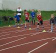 Atletické závody (Ht), Základní škola Aloise Klára Úštěk, foto:5