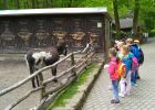 ŠD – Výlet do ZOO Děčín, Základní škola Aloise Klára Úštěk, foto:1
