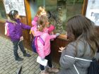 ŠD-výlet do ZOO Ústí nad Labem, Základní škola Aloise Klára Úštěk, foto:11