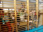 Sportovní turnaj v Liběšicích (Pá), Základní škola Aloise Klára Úštěk, foto:6