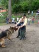 Výcvik psů, Základní škola Aloise Klára Úštěk, foto:2