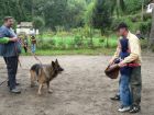 Výcvik psů, Základní škola Aloise Klára Úštěk, foto:3