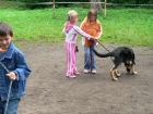 Výcvik psů, Základní škola Aloise Klára Úštěk, foto:4