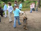 Výcvik psů, Základní škola Aloise Klára Úštěk, foto:11