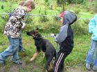 Výcvik psů, Základní škola Aloise Klára Úštěk, foto:13