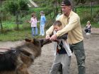 Výcvik psů, Základní škola Aloise Klára Úštěk, foto:24