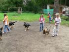 Výcvik psů, Základní škola Aloise Klára Úštěk, foto:25